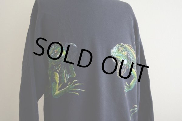 画像9: 1990s HARLEQUIN NATURE GRAPHICS イグアナスウェット　 表記L  (9)