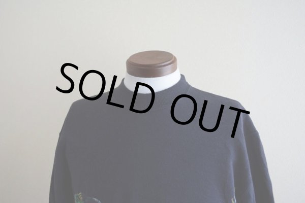 画像6: 1990s HARLEQUIN NATURE GRAPHICS イグアナスウェット　 表記L  (6)