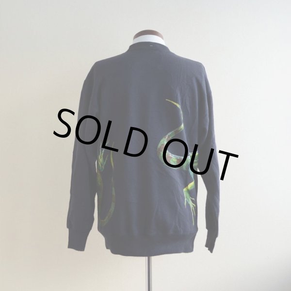 画像3: 1990s HARLEQUIN NATURE GRAPHICS イグアナスウェット　 表記L  (3)