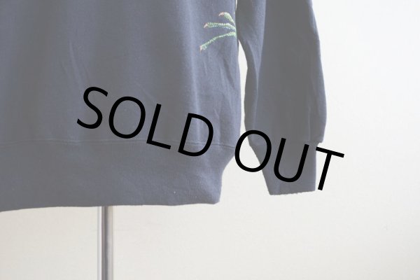 画像7: 1990s HARLEQUIN NATURE GRAPHICS イグアナスウェット　 表記L  (7)