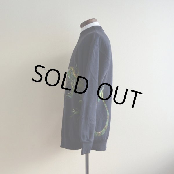 画像4: 1990s HARLEQUIN NATURE GRAPHICS イグアナスウェット　 表記L  (4)