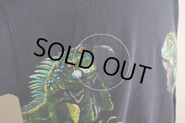 画像13: 1990s HARLEQUIN NATURE GRAPHICS イグアナスウェット　 表記L  (13)