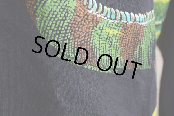 画像12: 1990s HARLEQUIN NATURE GRAPHICS イグアナスウェット　 表記L  (12)