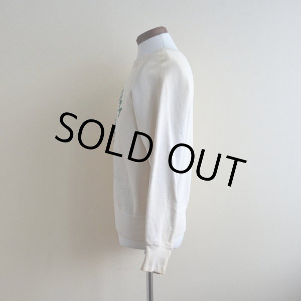 画像4: 1960s RUSSELL カレッジスウェット　 DELTA SIGMA PHI　 表記M  (4)