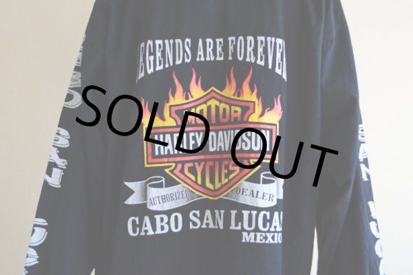 画像13: HARLEY-DAVIDSON コットンパーカー  表記40  (13)