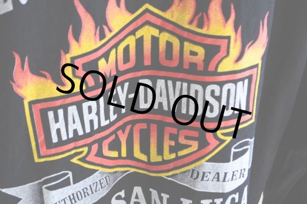 画像14: HARLEY-DAVIDSON コットンパーカー  表記40  (14)