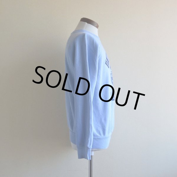 画像2: 1980s フロッキーカレッジスウェット　 実寸M  (2)