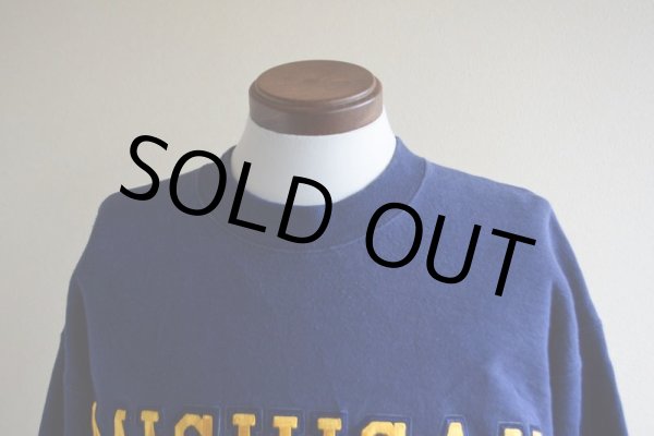 画像6: 1990s MICHIGAN DAD カレッジスウェット　 表記L  (6)