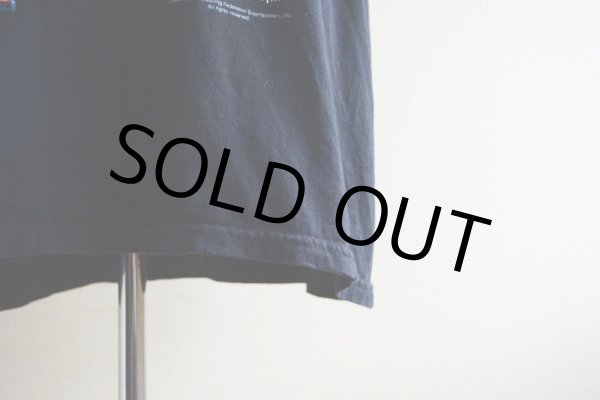 画像10: 2000s WWF THE ROCK プロレスTシャツ　 表記XL  (10)