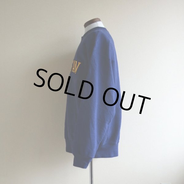 画像4: 1990s MICHIGAN DAD カレッジスウェット　 表記L  (4)