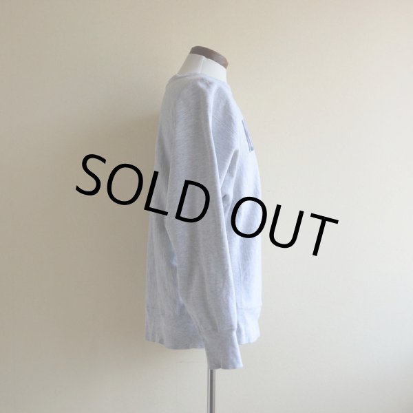 画像2: 1980s Champion リバースウィーブスウェット　 MICHIGAN染み込み　 表記L  (2)