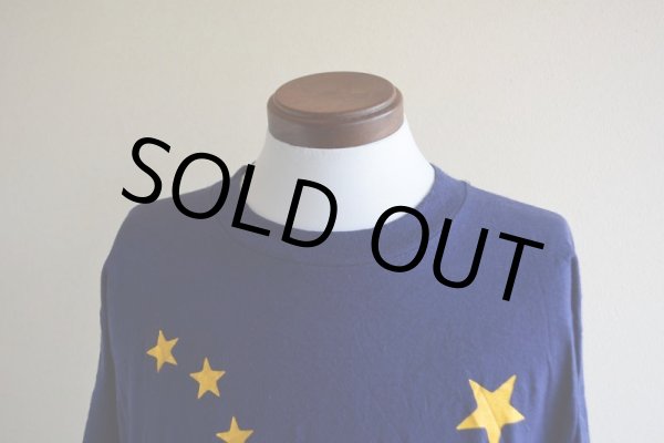 画像7: 1980s ALASKA 州旗プリントTシャツ　 表記L  (7)