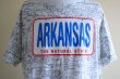 画像8: 1990s ARKANSAS マップTシャツ　 表記L  (8)