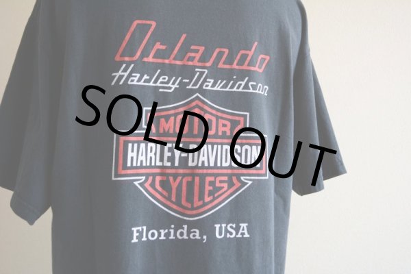 画像12: 2000s HARLEY-DAVIDSON DAYTONA BIKE WEEK スカルプリントTシャツ　 表記L  (12)