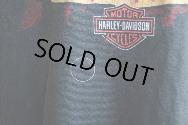 画像14: 2000s HARLEY-DAVIDSON DAYTONA BIKE WEEK スカルプリントTシャツ　 表記L  (14)