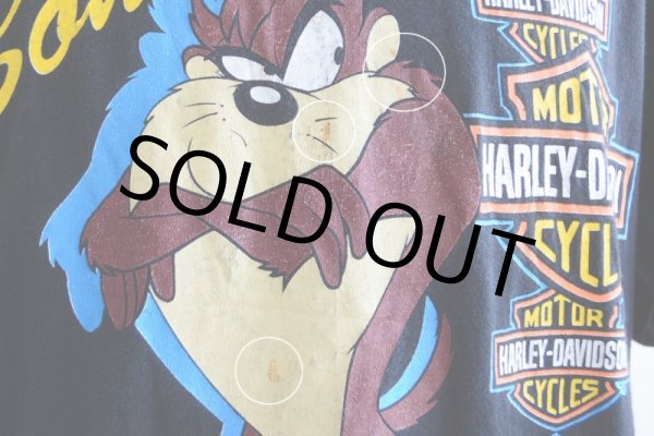 画像13: 1990s HARLEY-DAVIDSON プリントTシャツ　 ワーナーブラザーズ　 表記L  (13)