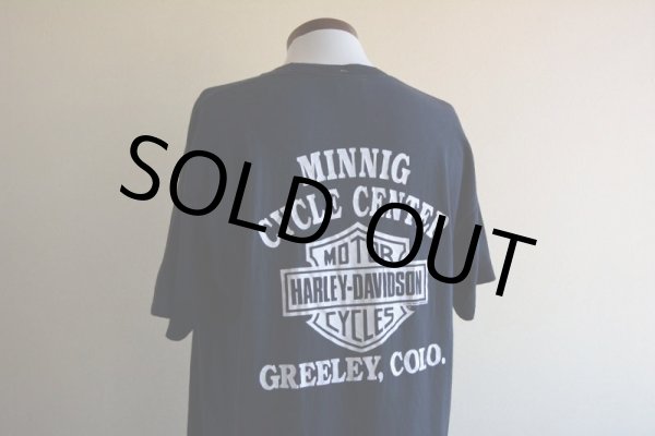 画像12: 1990s HARLEY-DAVIDSON プリントTシャツ　 STURGIS　 表記XL  (12)