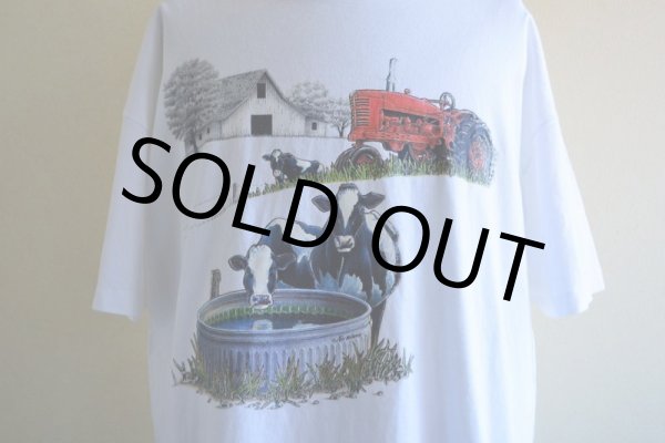 画像7: 1990s Air Waves 北海道酪農Tシャツ　 MADE IN USA　 表記XL  (7)