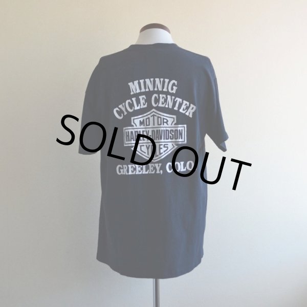 画像3: 1990s HARLEY-DAVIDSON プリントTシャツ　 STURGIS　 表記XL  (3)