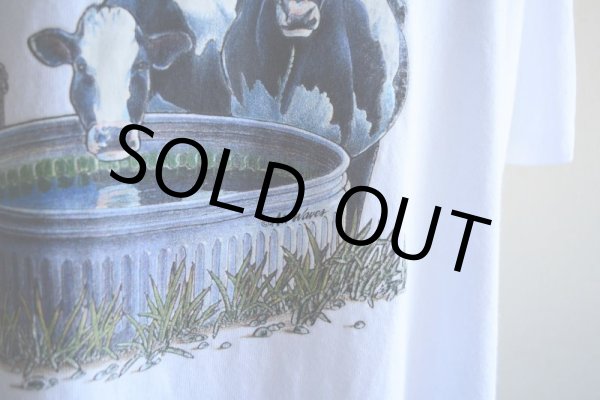 画像8: 1990s Air Waves 北海道酪農Tシャツ　 MADE IN USA　 表記XL  (8)