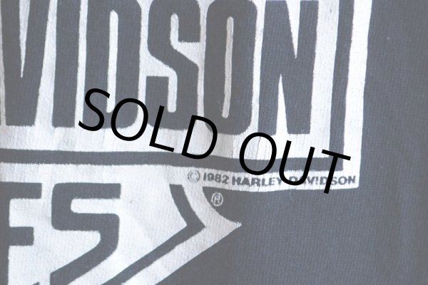 画像13: 1990s HARLEY-DAVIDSON プリントTシャツ　 STURGIS　 表記XL  (13)