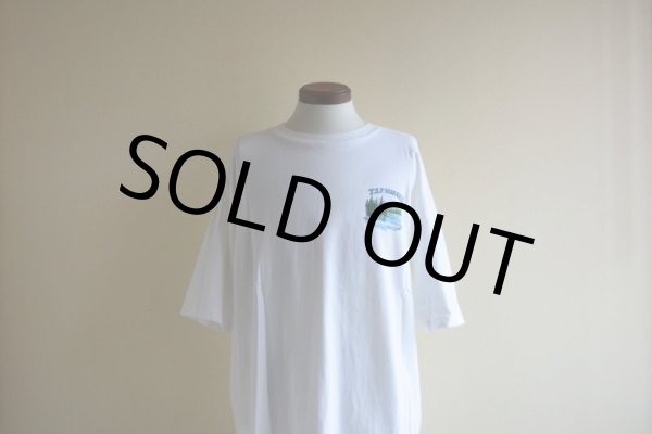 画像6: 1990s T.S.F. ORIGINALS ブラックバスTシャツ  MADE IN USA  表記XXL  (6)