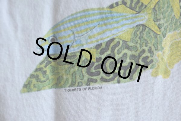 画像13: 1990s GUY HARVEY ポケットTシャツ　 MADE IN USA　 表記XL  (13)