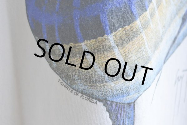 画像13: 1990s GUY HARVEY ポケットTシャツ  MADE IN USA  表記XL  (13)