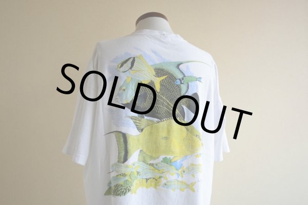 画像12: 1990s GUY HARVEY ポケットTシャツ　 MADE IN USA　 表記XL  (12)