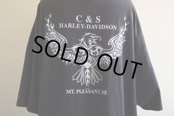 画像12: 1990-00s HARLEY-DAVIDSON プリントTシャツ　 表記3XL  (12)