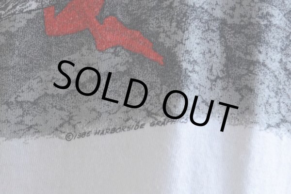 画像8: 1980s アニマルプリント Tシャツ　 表記XL  (8)