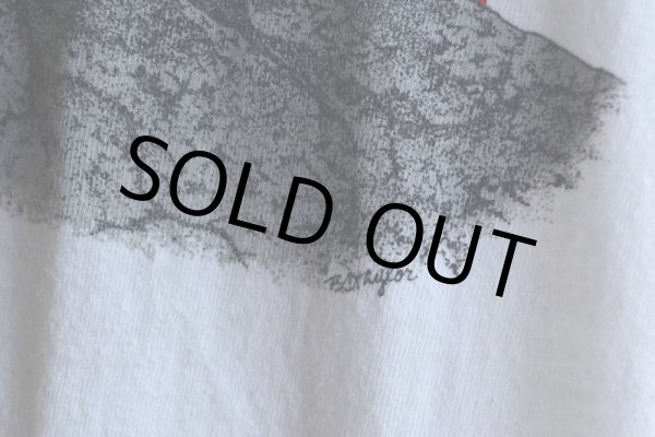 画像9: 1980s アニマルプリント Tシャツ　 表記XL  (9)