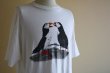 画像10: 1980s アニマルプリント Tシャツ　 表記XL  (10)