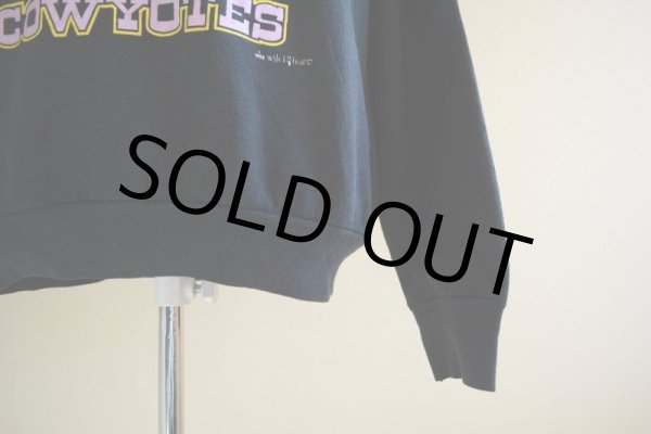 画像11: 1990s COWYOTES プリントスウェット  MADE IN USA  表記L  (11)