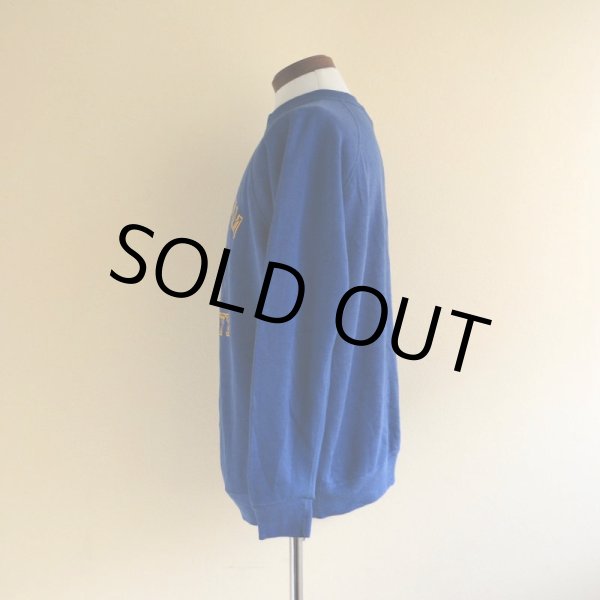 画像4: 1970-80s フロッキーカレッジスウェット　 表記XL  (4)