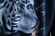 画像9: 1990-00s WHITE TIGER プリントスウェット　 表記L  (9)
