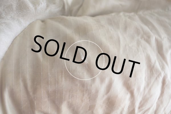 画像20: 1970s Hansa-Branta by STEARNS エスキモーコート　 GOOSE DOWN　 表記Ladies L (着用感メンズML)  (20)