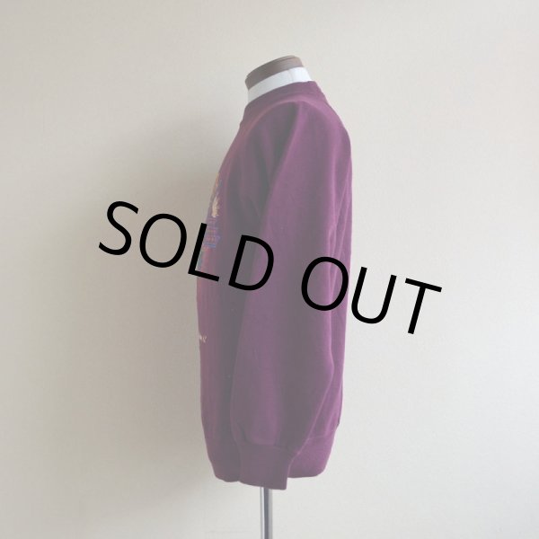 画像4: 1990s SEDONA AZ サボテンスウェット　 MADE IN USA　 表記M  (4)