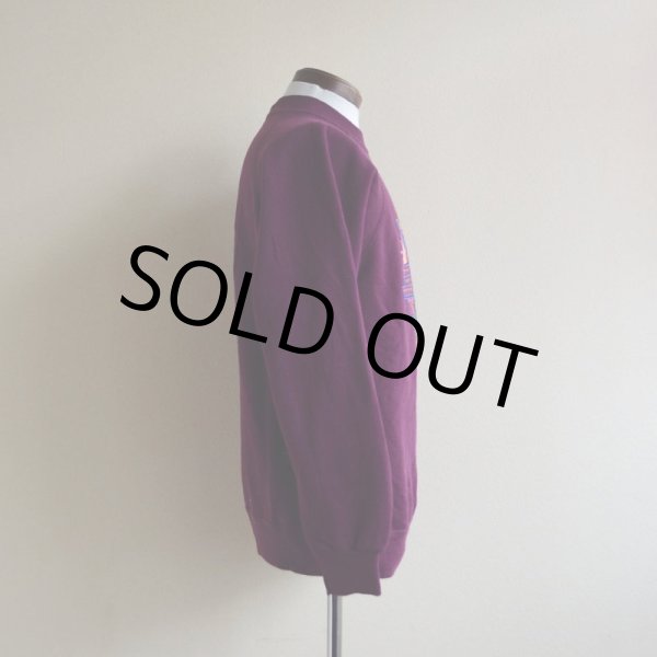 画像2: 1990s SEDONA AZ サボテンスウェット　 MADE IN USA　 表記M  (2)