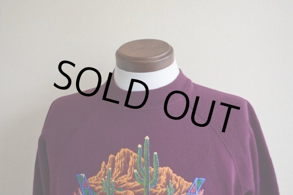 画像6: 1990s SEDONA AZ サボテンスウェット　 MADE IN USA　 表記M  (6)