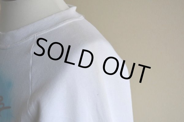 画像14: 1990s PEPSI 両面エアブラシペイントスウェット　 MADE IN USA　 表記L  (14)