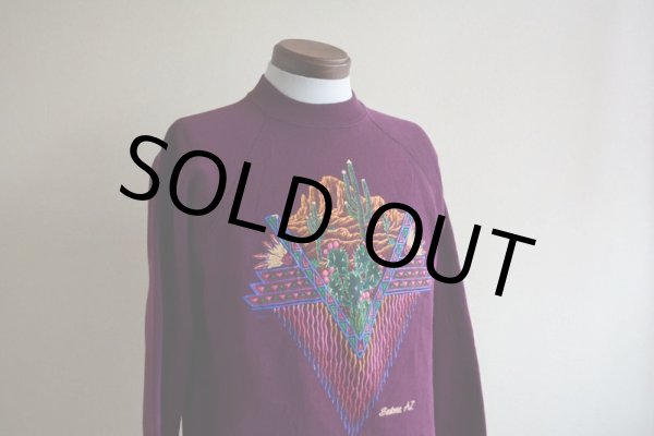 画像7: 1990s SEDONA AZ サボテンスウェット　 MADE IN USA　 表記M  (7)