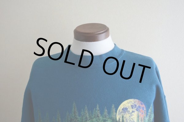 画像7: 1990s MUSEUM OF WESTWARD EXPANSION 両面プリントスウェット　 MADE IN USA　 表記L  (7)