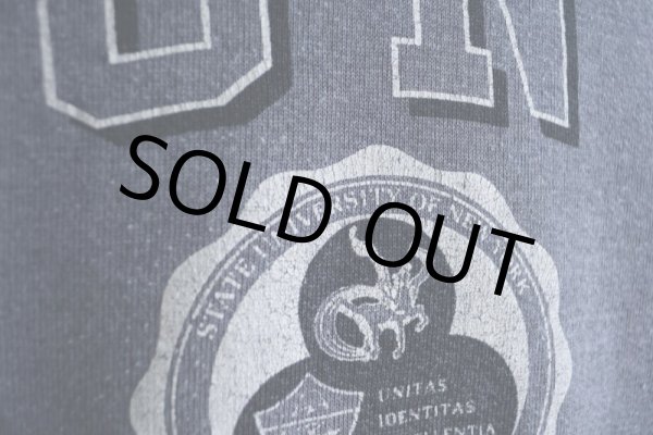 画像9: 1990s SUNY カレッジスウェット　 MADE IN USA　 表記M  (9)