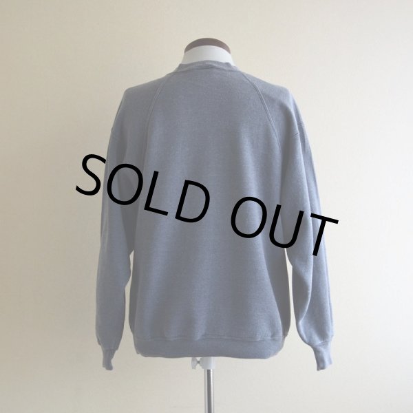 画像3: 1990s SUNY カレッジスウェット　 MADE IN USA　 表記M  (3)