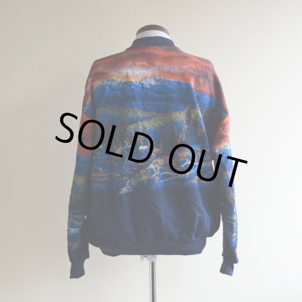 画像3: 1990s Art Unlimited シカ総柄スウェット　 DEAD STOCK/MADE IN USA　 表記L  (3)