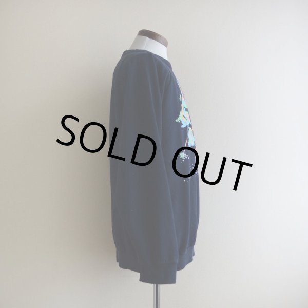 画像2: 1980s〜 ALORE スキープリントスウェット  MADE IN USA  表記XL  (2)