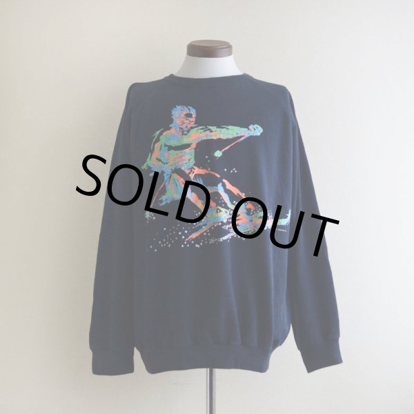 画像1: 1980s〜 ALORE スキープリントスウェット  MADE IN USA  表記XL  (1)