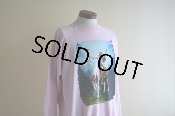 画像7: 1990s Deliverance プリントスウェット  MADE IN USA　 表記XL  (7)