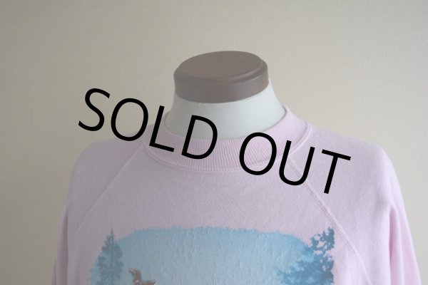 画像6: 1990s Deliverance プリントスウェット  MADE IN USA　 表記XL  (6)